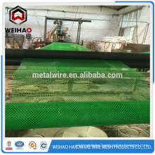 HDPE geonet/plastic net--professinal manufacturer